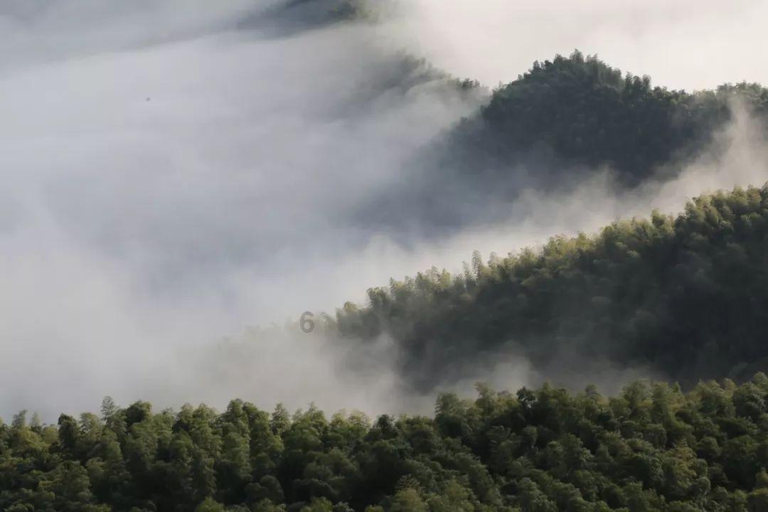 解答疑惑,尽在